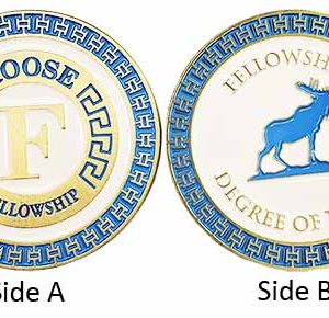 Fellowship Degree Challenge Coin