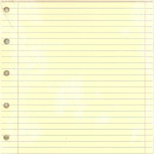 100 Executive Board Minute Sheets
