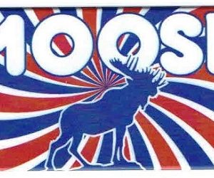 Moose Easy Spot Luggage Tag