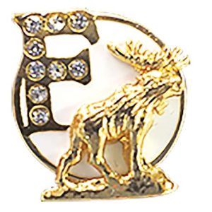Fellowship Degree Lapel Pin