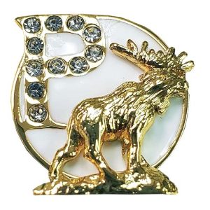 Pilgrim Degree Lapel Pin