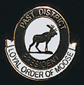 Past District President Lapel Pin