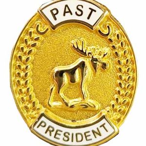 Past President Lapel Pin