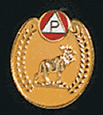 Pilgrim Lapel Pin