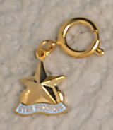 Star Recorder Charm
