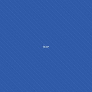 Binder