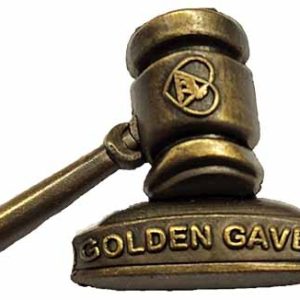 Golden Gavel Pin