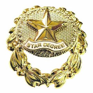 Star Degree Brooch