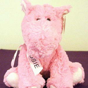 Rosie Moose