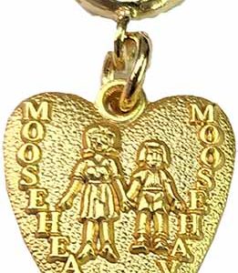 Mooseheart/Moosehaven Charm