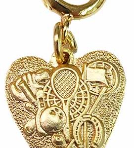 Fraternal Activities Charm